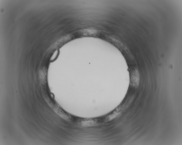 X0000082740468200702240017