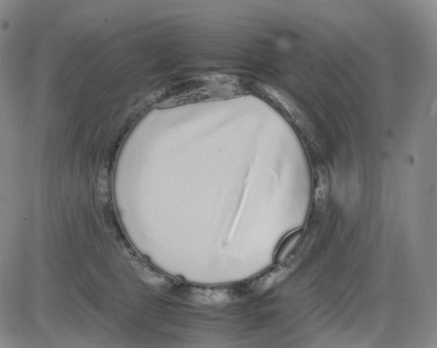 X0000082740469200702240017