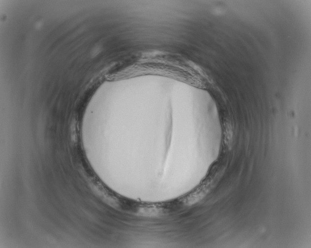 X0000082740470200702240017