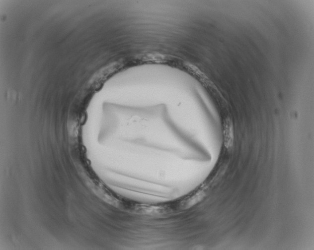 X0000082740472200702240017