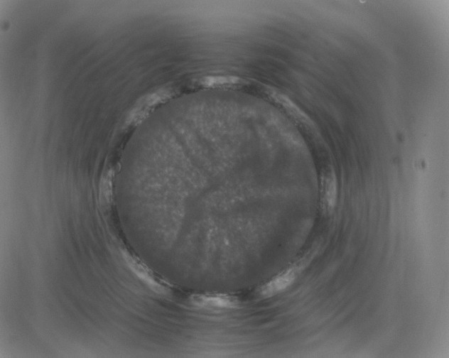 X0000082740475200702240017