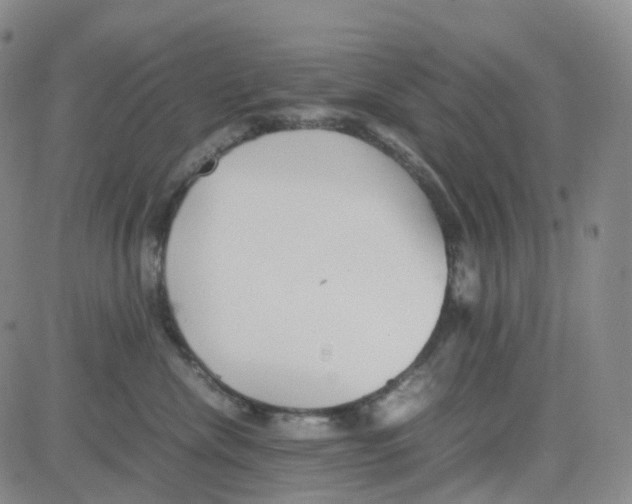 X0000082740476200702240017