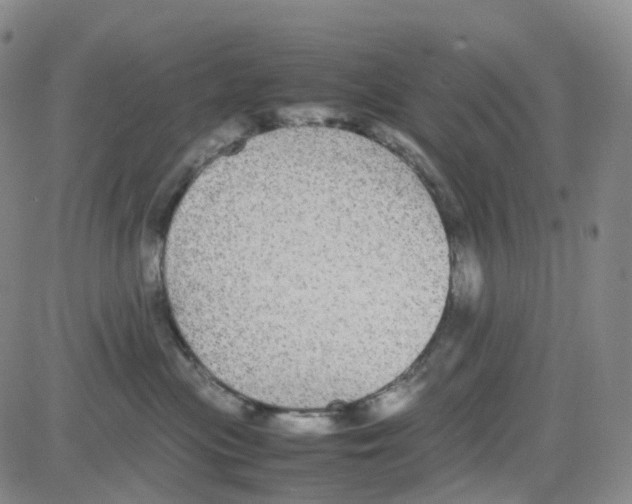 X0000082740477200702240017