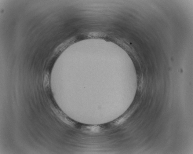 X0000082740478200702240017