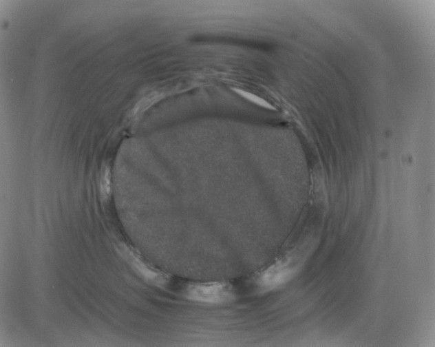 X0000082740479200702240017