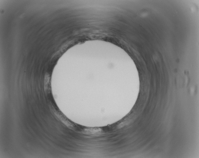 X0000082740480200702240017