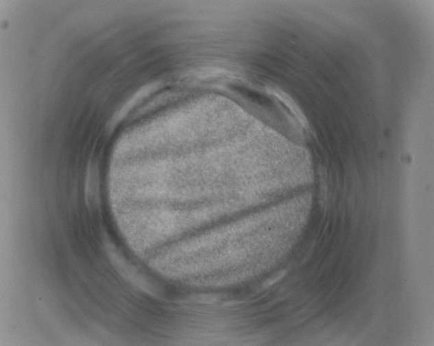 X0000082740482200702240017