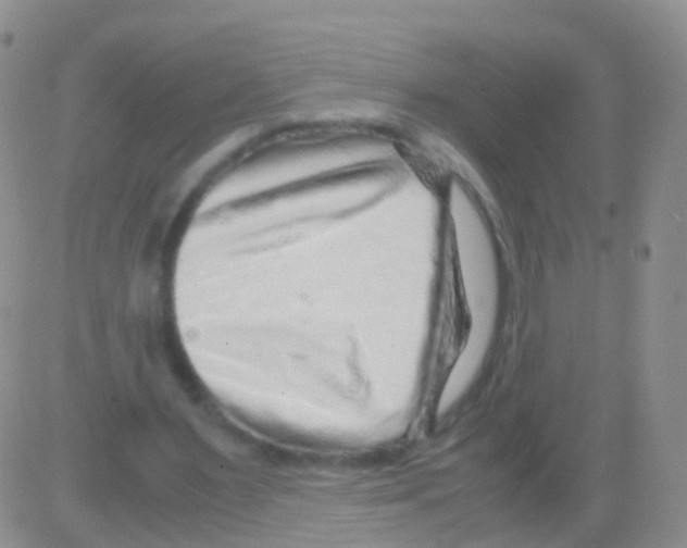 X0000082740483200702240017