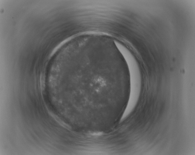 X0000082740484200702240017