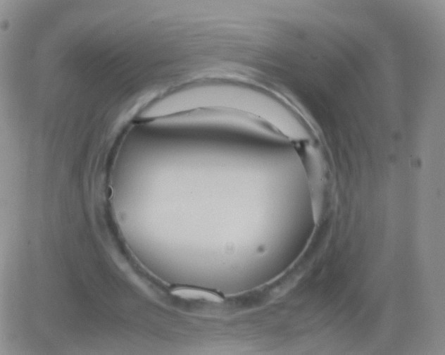 X0000082740485200702240017