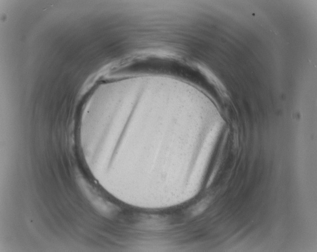 X0000082740486200702240017