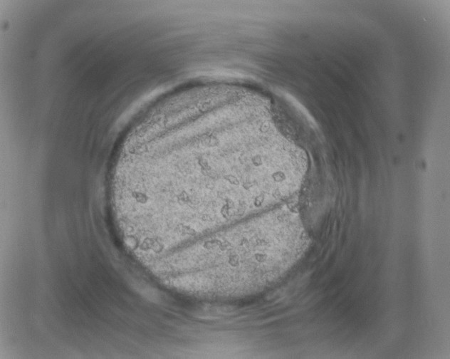 X0000082740487200702240017