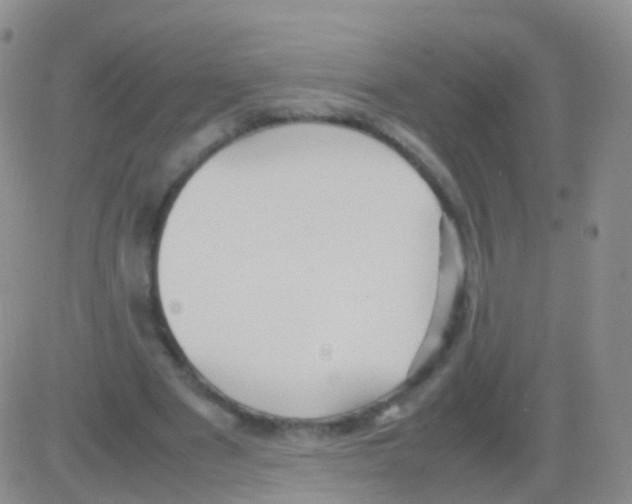 X0000082740489200702240017