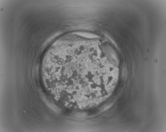 X0000082740491200702240017