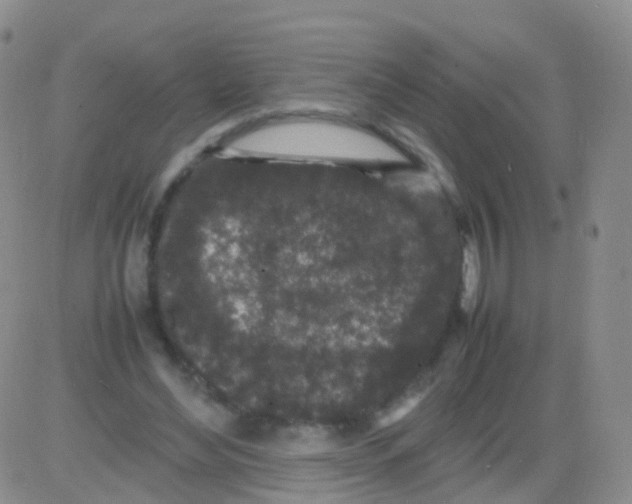 X0000082740492200702240016