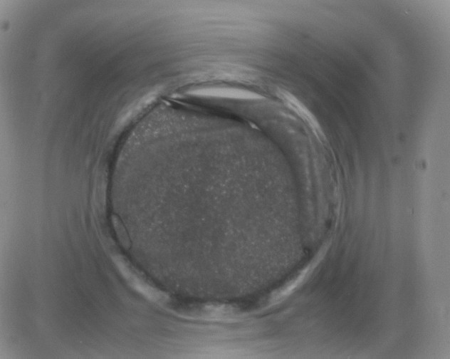 X0000082740493200702240016