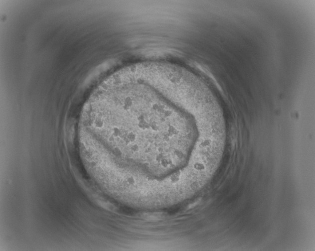 X0000082740495200702240016