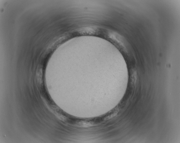 X0000082740498200702240016