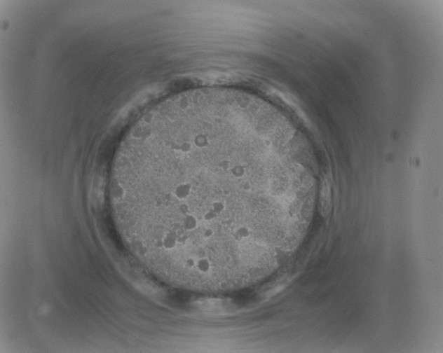 X0000082740499200702240016