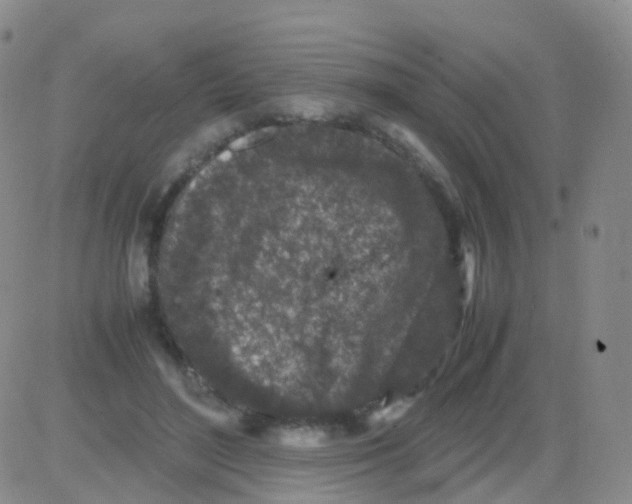 X0000082740500200702240016