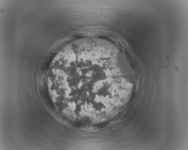 X0000082740503200702240016