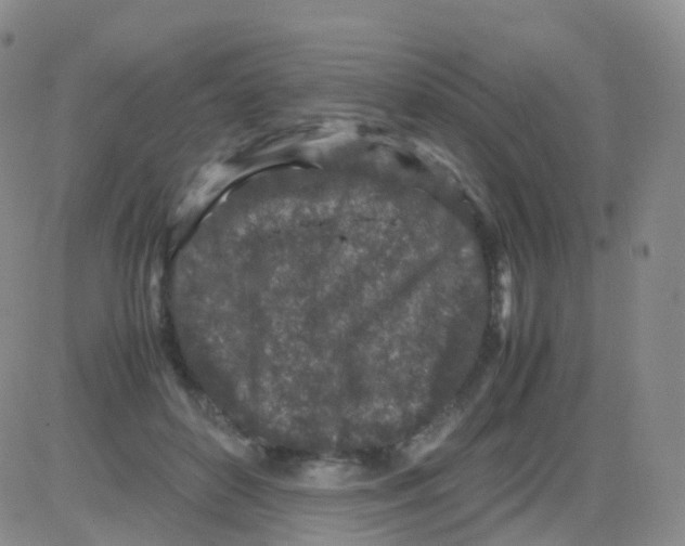 X0000082740504200702240016