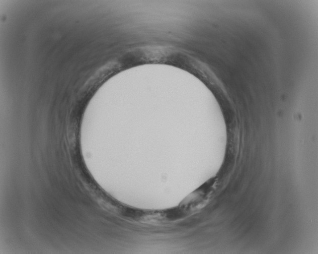 X0000082740505200702240016