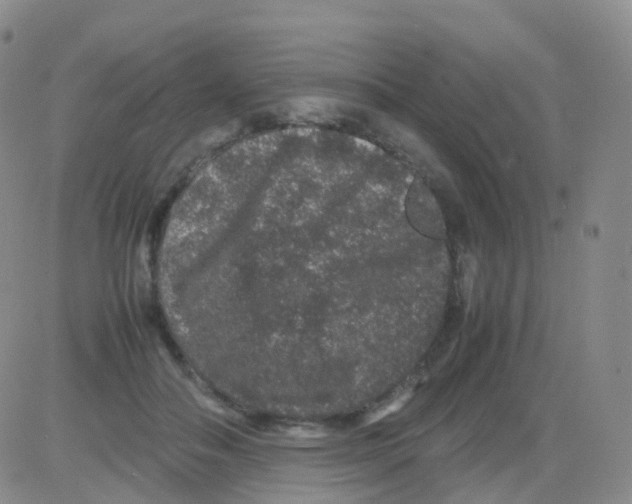 X0000082740506200702240016