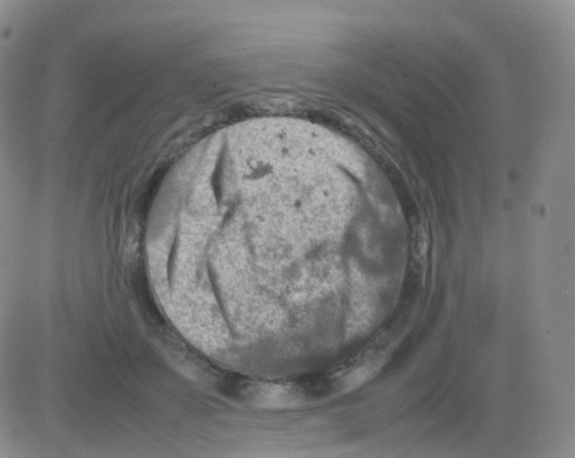 X0000082740507200702240016