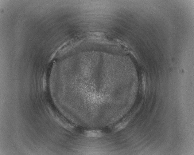 X0000082740508200702240016