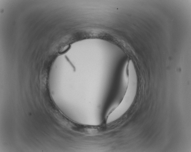 X0000082740509200702240016