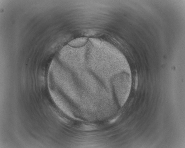 X0000082740510200702240016