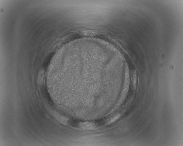 X0000082740511200702240016