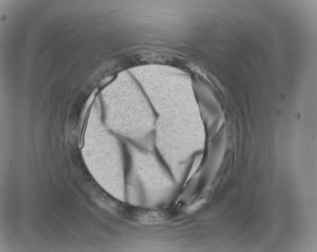 X0000082740513200702240016