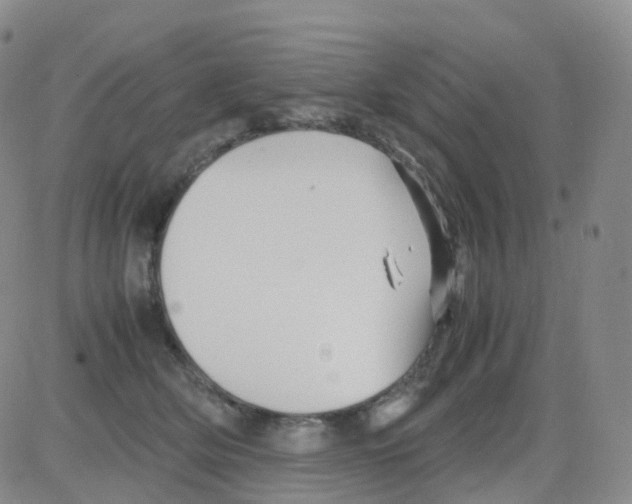 X0000082740514200702240016