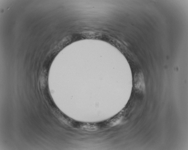 X0000082740515200702240016