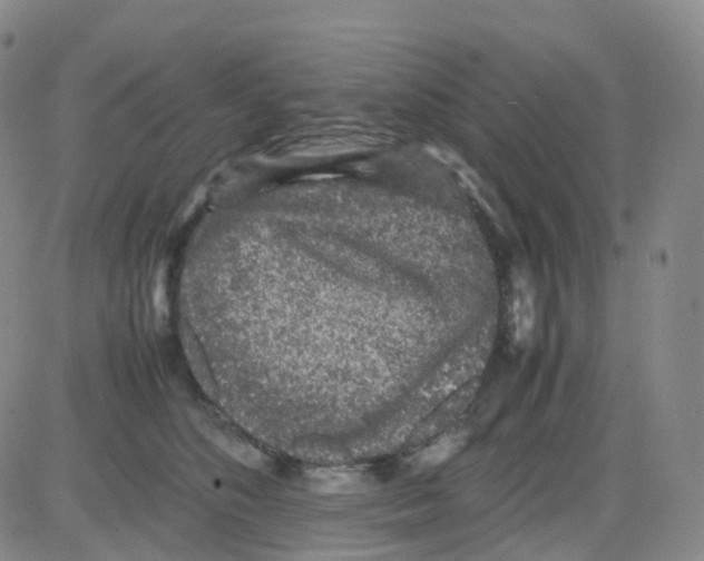 X0000082740516200702240016