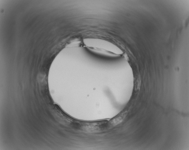 X0000082740521200702240016