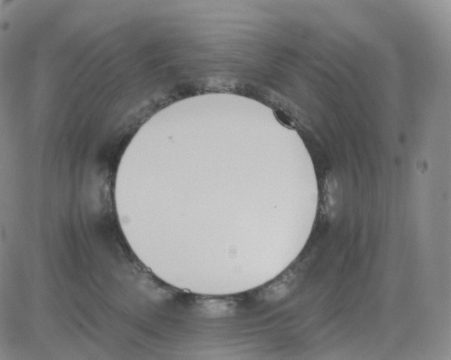 X0000082740522200702240016