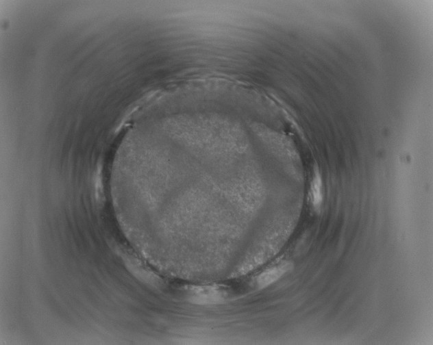 X0000082740524200702240016