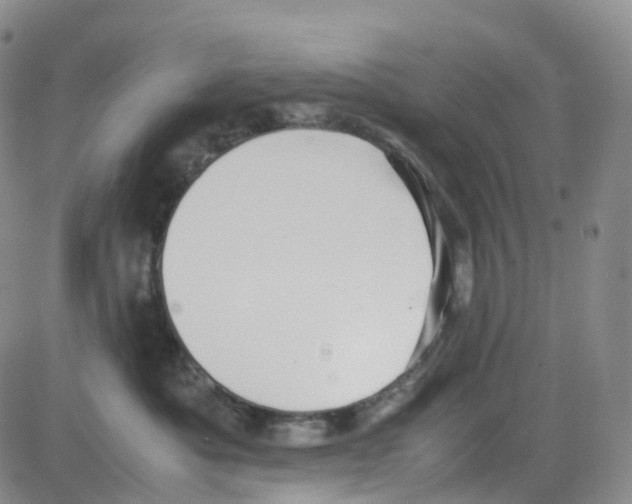 X0000082740525200702240016