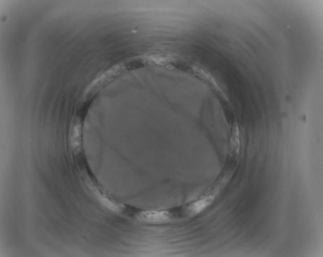 X0000082740526200702240016