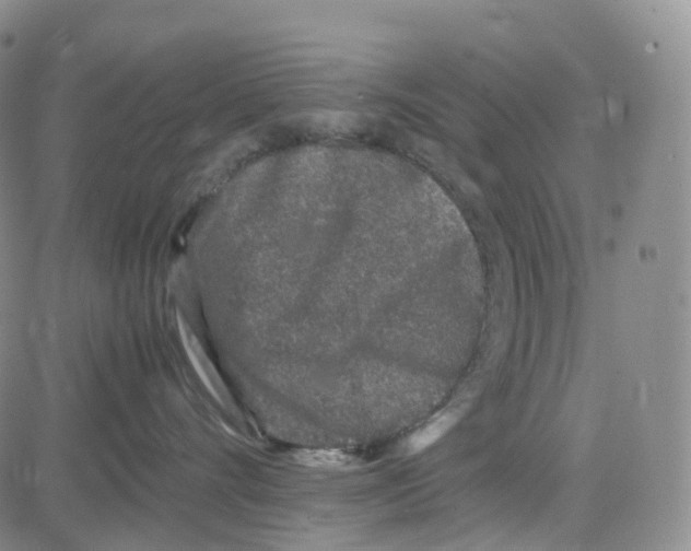 X0000082740528200702240016