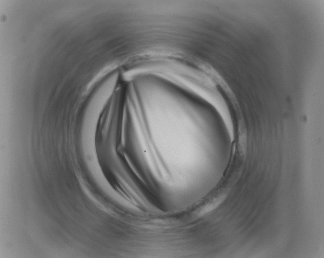 X0000082740530200702240015