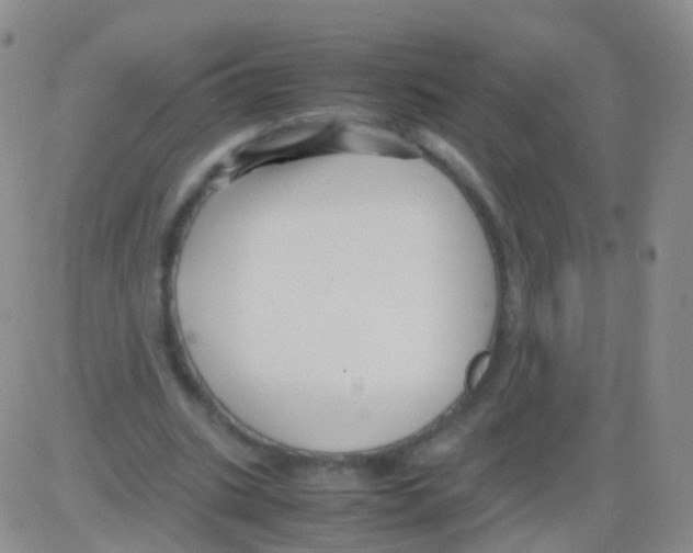 X0000082740535200702240015