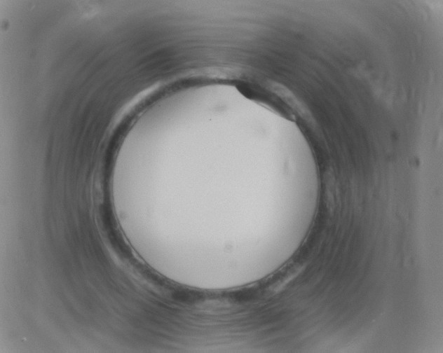 X0000082740536200702240015