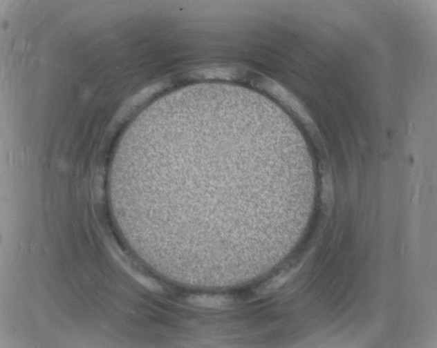 X0000082740537200702240015