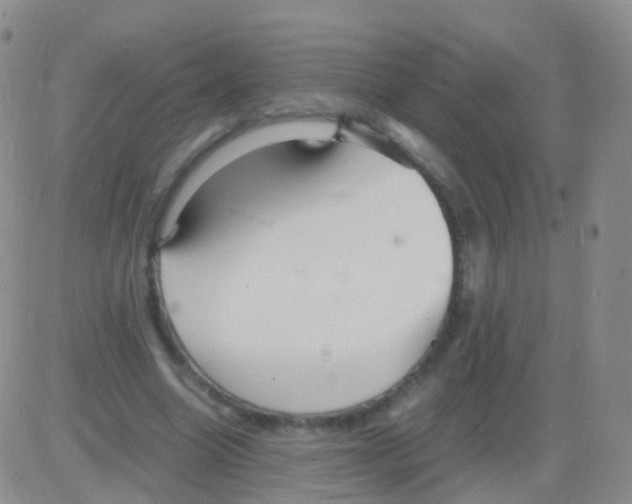 X0000082740538200702240015