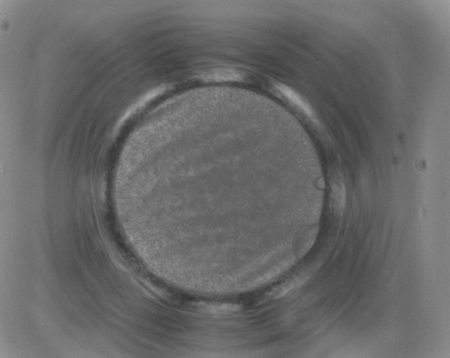 X0000082740539200702240015