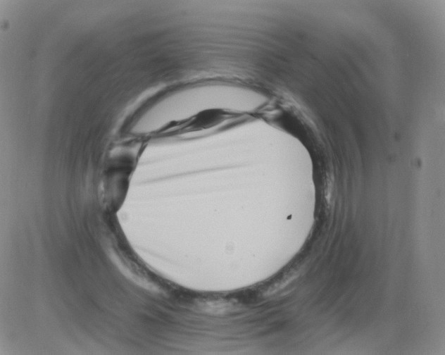 X0000082740540200702240015